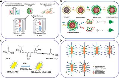 Nanoparticle drug delivery systems for synergistic delivery of tumor therapy